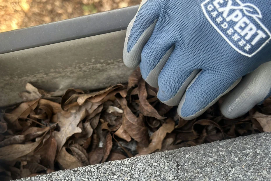 Gutter Cleaning Greenville