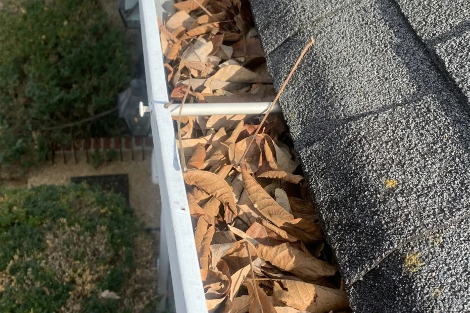 Gutter Cleaning Greenville